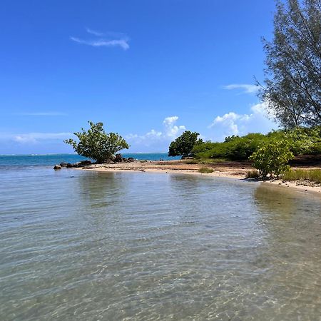 Villa Ho'A - Bord De Mer Avec Piscine Papetoai Exterior foto